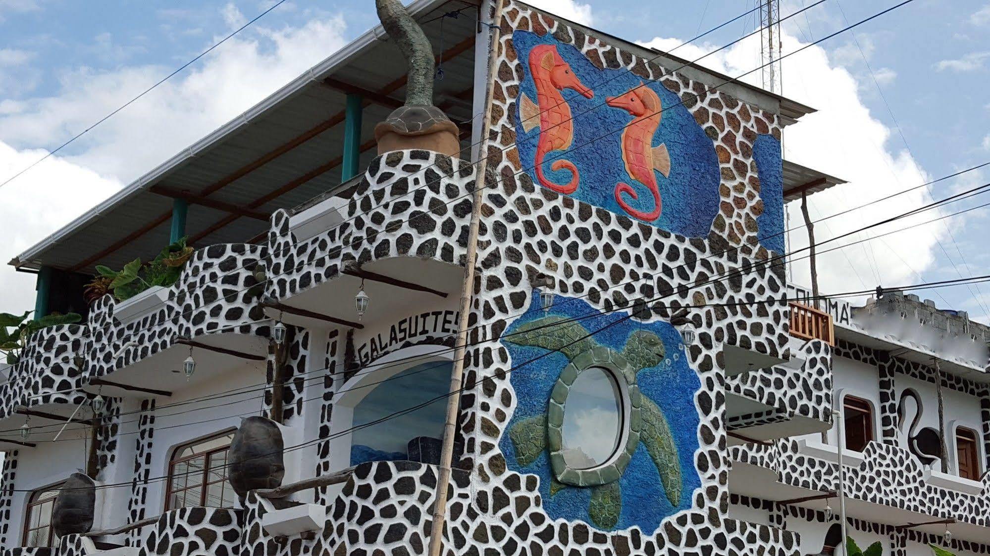 Hotel Coloma Galapagos 푸에르토아요라 외부 사진